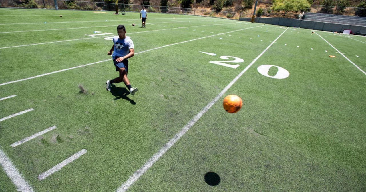 LA Council committee moves synthetic grass ban proposal forward