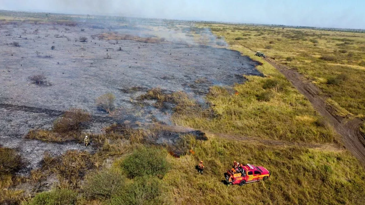 Imagens Mostram Dimensão Dos Incêndios No Pantanal; Veja | Brasil ...