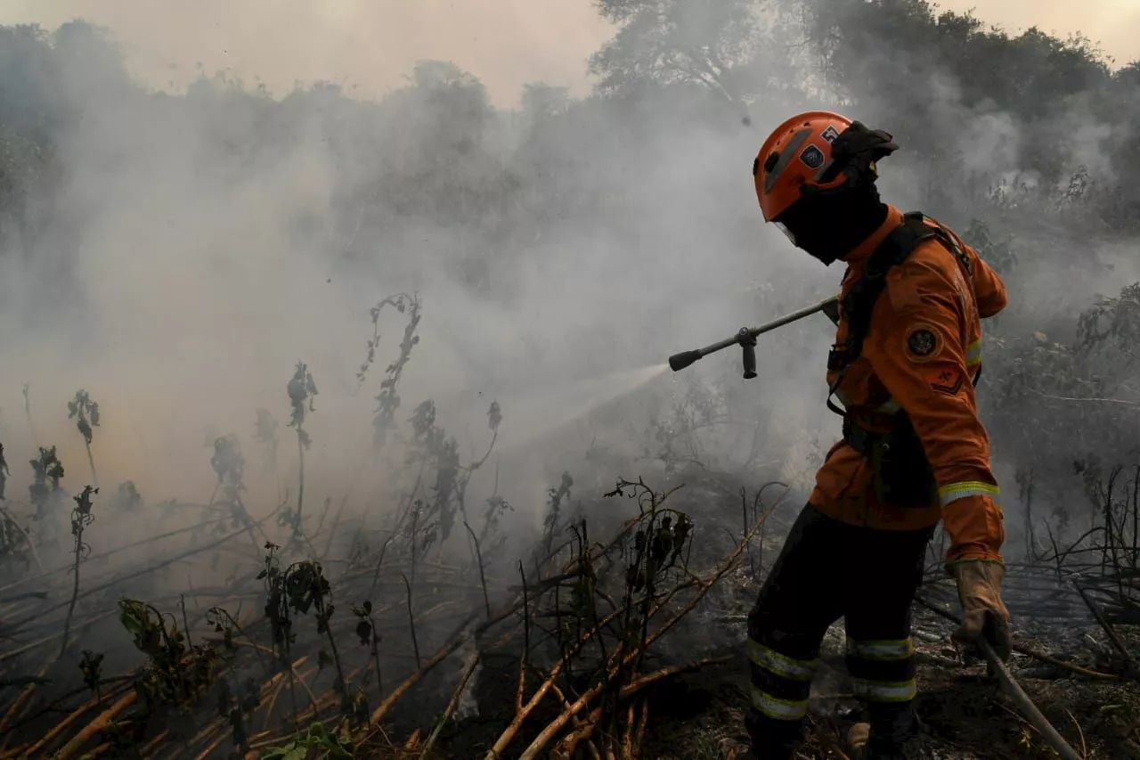 Orçamento não vai faltar no combate aos incêndios no Pantanal, diz Tebet no MS