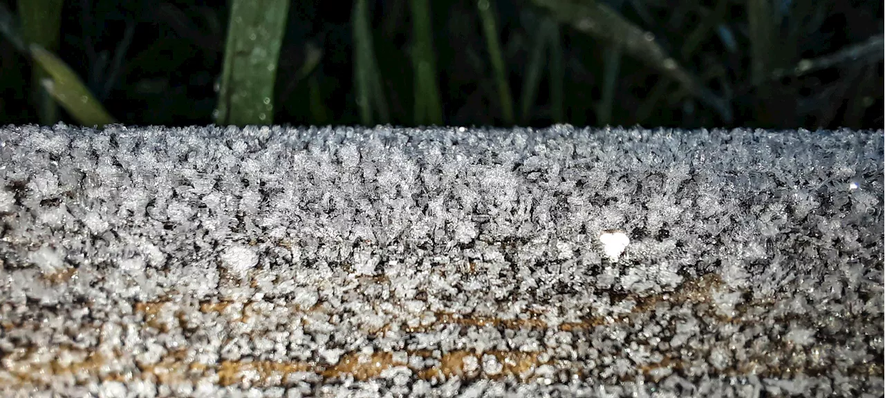 Rio Grande do Sul amanhece com geada e baixas temperaturas