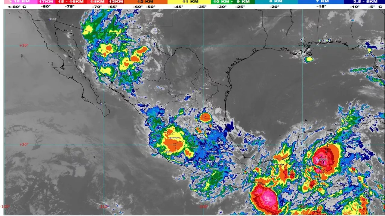 En vivo últimas noticias sobre el tiempo y la tormenta Beryl que supone una rara amenaza