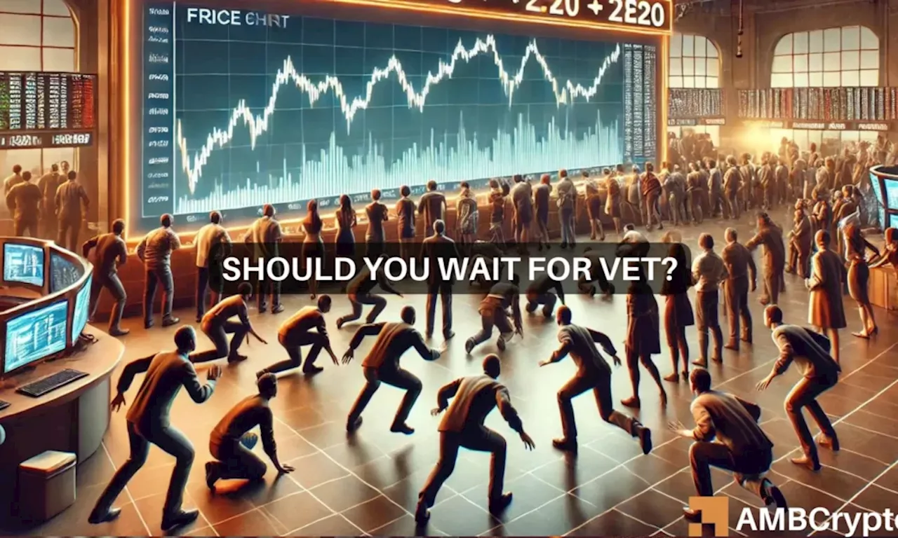 – Assessing whether a key buying opportunity is on for VET holders