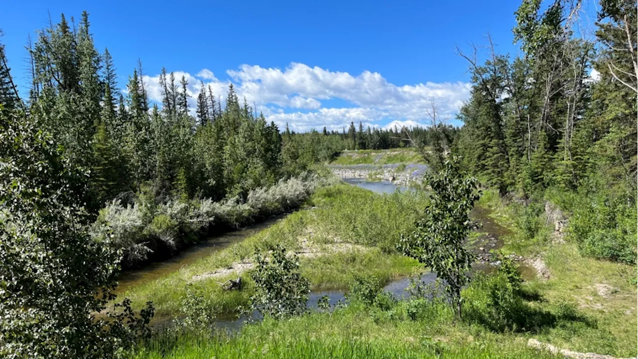 This Canada Day long weekend, you might want to get most of your fun in on Saturday...