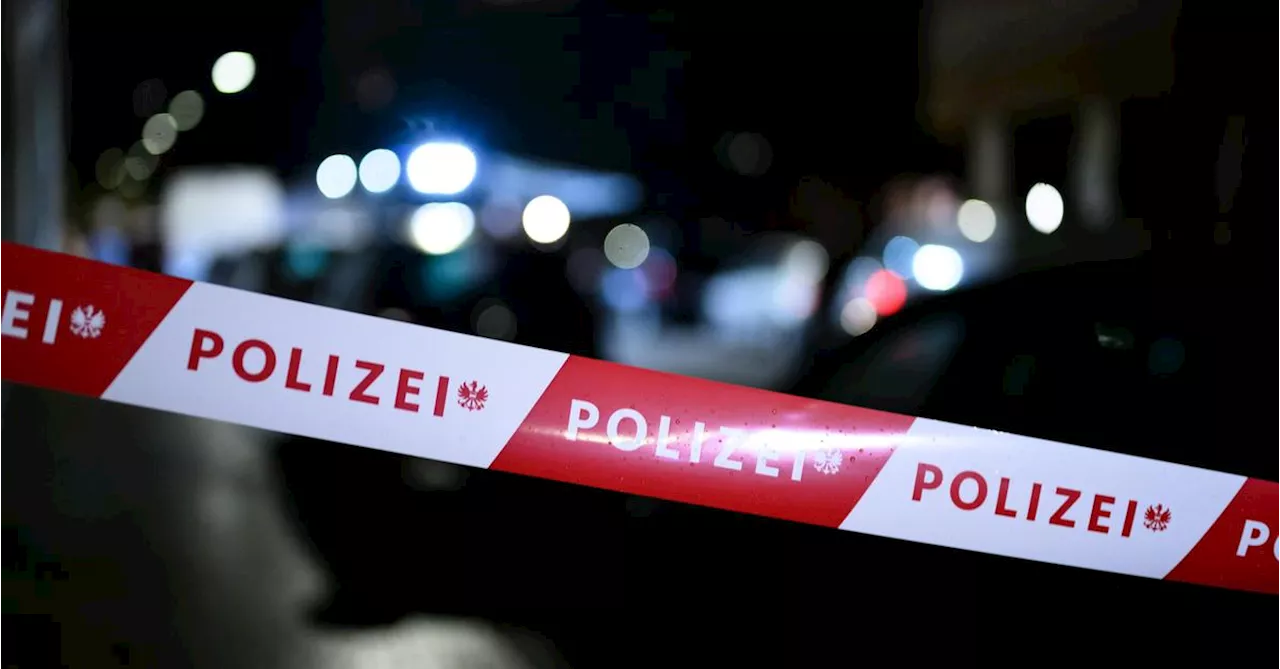 Mann attackiert Wiener Polizisten mit einer Holzlatte