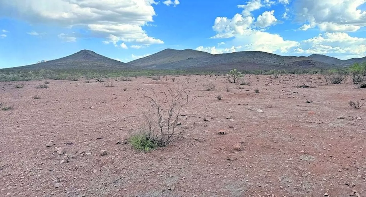 Lenta, recuperación para agricultores