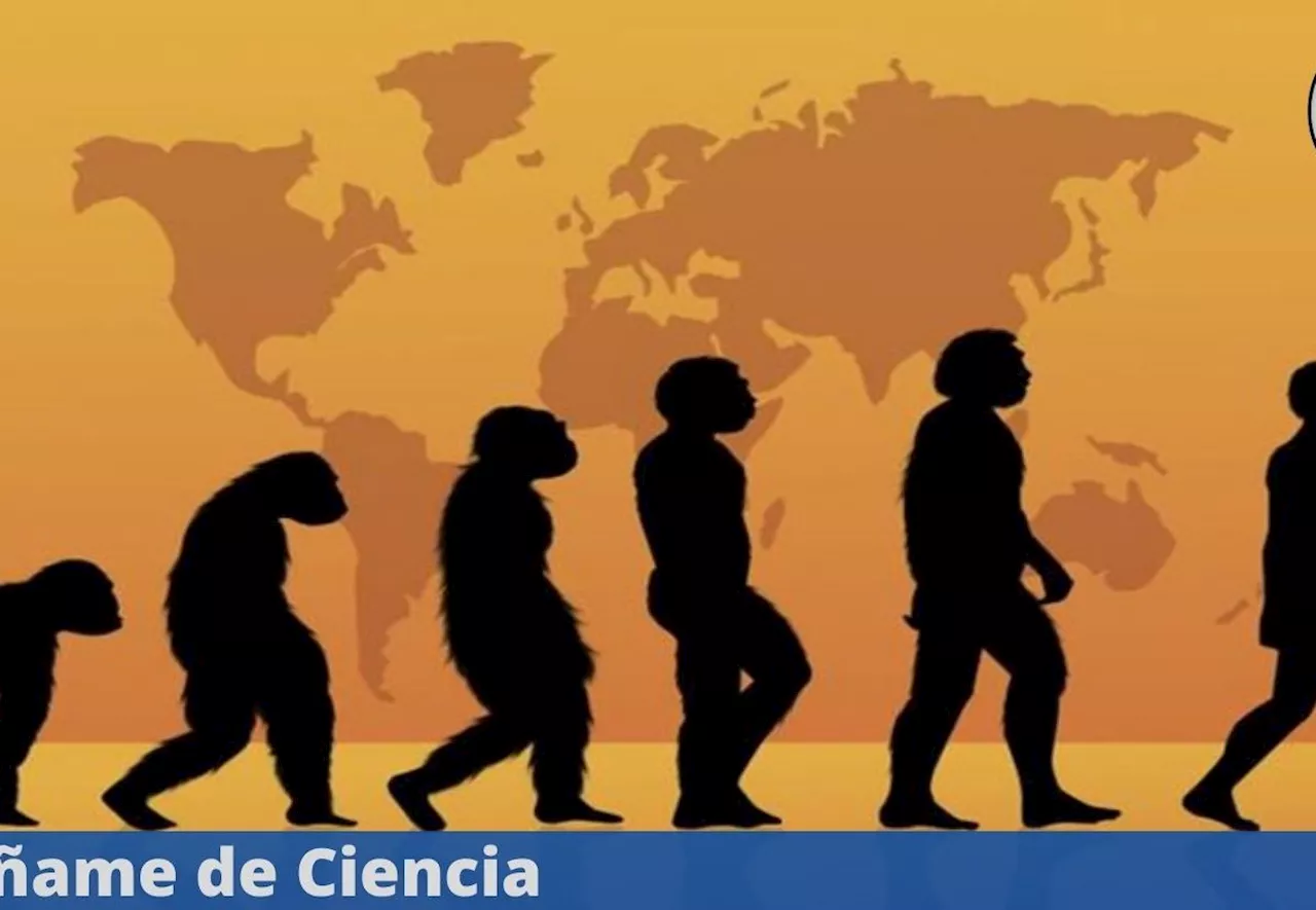 Aprende sobre biología evolutiva con este curso GRATIS y en línea con CERTIFICADO