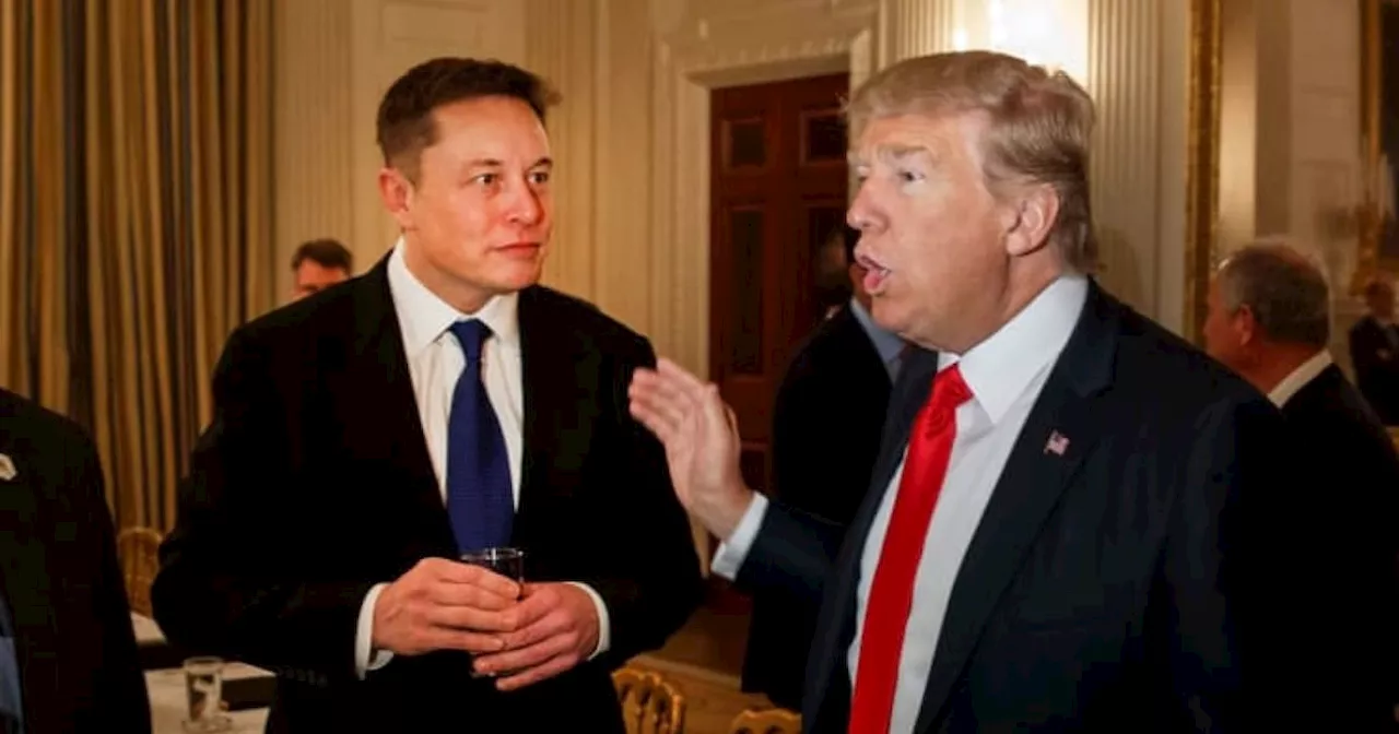 Elon Musk revela conversaciones privadas con Donald Trump: ¿Está cambiando su visión sobre los autos elécricos?