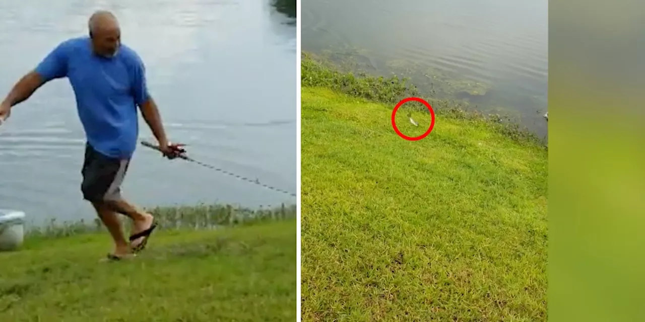 Angler zieht Fang aus dem Wasser - er hat keine Ahnung, welche Gefahr lauert