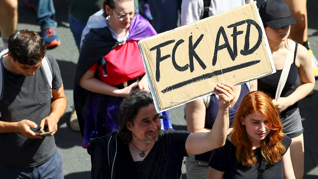 Tritte, Schläge, Verletzte: AfD-Parteitag eskaliert