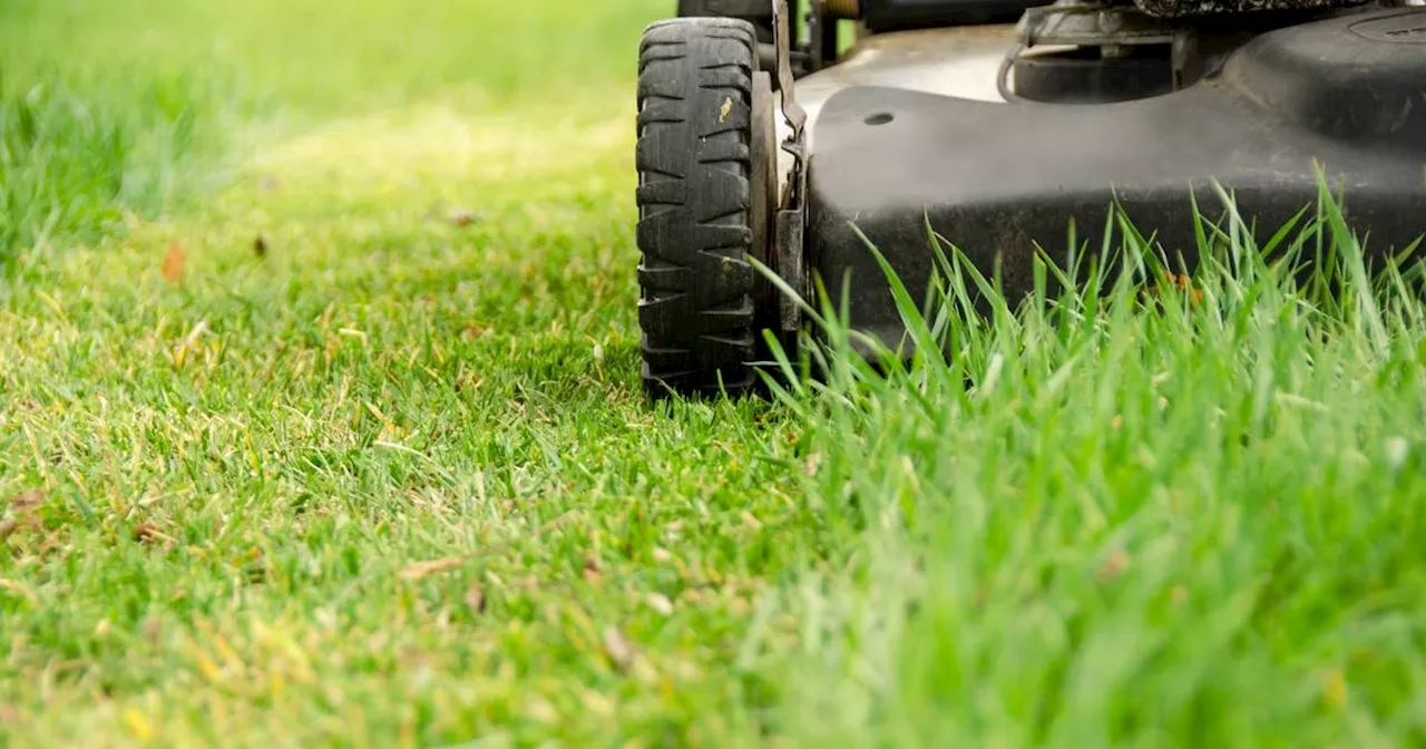 Where do we start with sowing a traditional lawn around our new-build house?