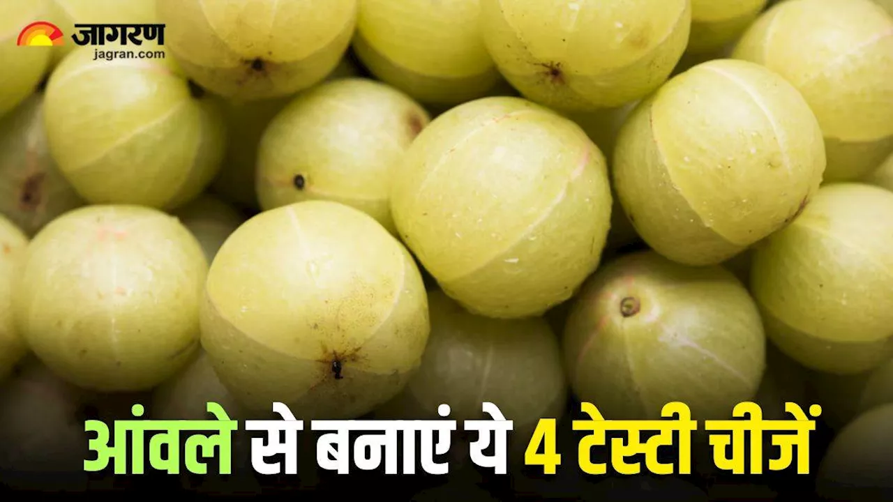 Amla Recipes: स्वाद ही नहीं, सेहत में भी लाजवाब है आंवले की ये 4 रेसिपी, आप भी जरूर करें ट्राई