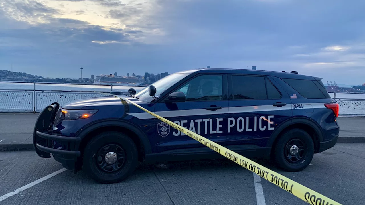 Crime patrols begin on Alki Beach as Police Chief labels area a 'hotspot'