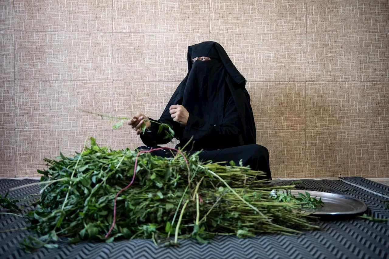 À Raqqa, la délicate réinsertion des anciennes « femmes de Daesh »