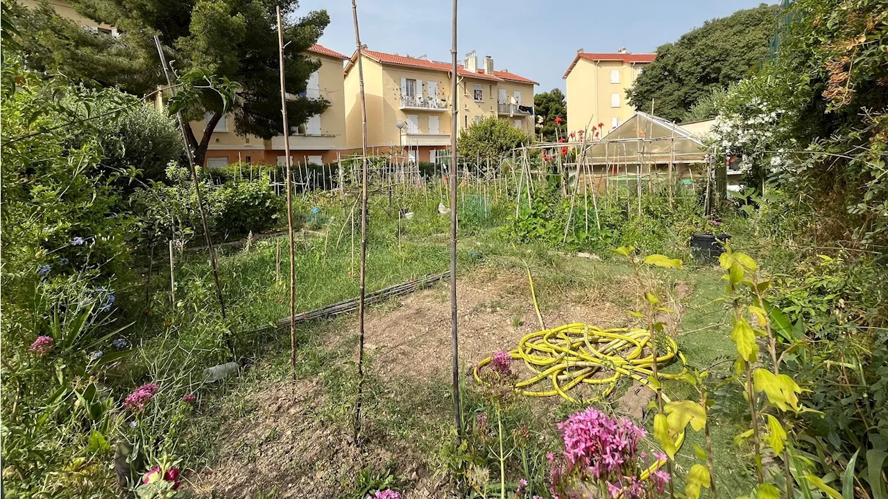 Marseille : à 90 ans, la cité Michelis reste la cité des 'gens heureux'