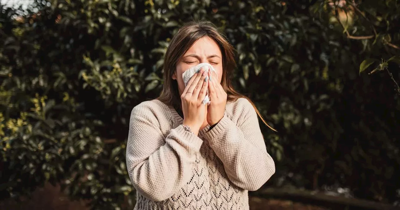 Met Office warning as Yorkshire hit with weekend pollen bomb