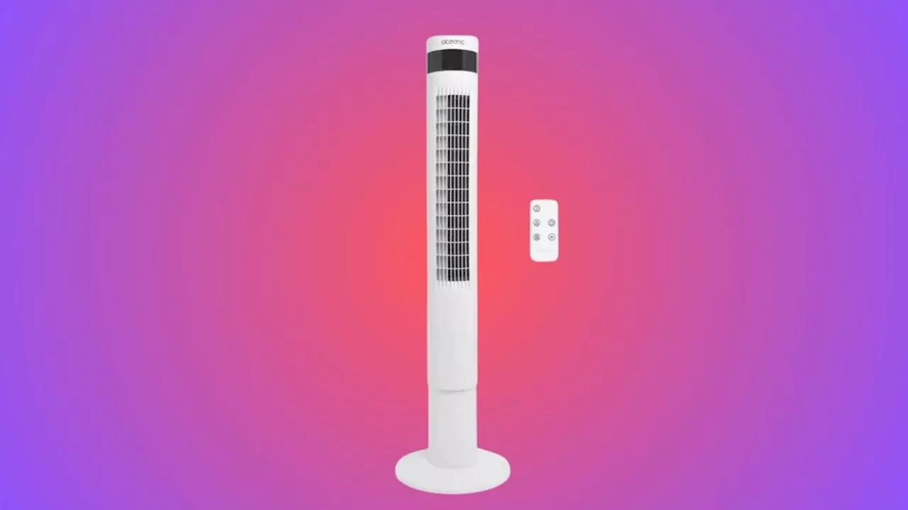 Pour moins de 40 euros, passez un été au frais avec ce ventilateur colonne Oceanic