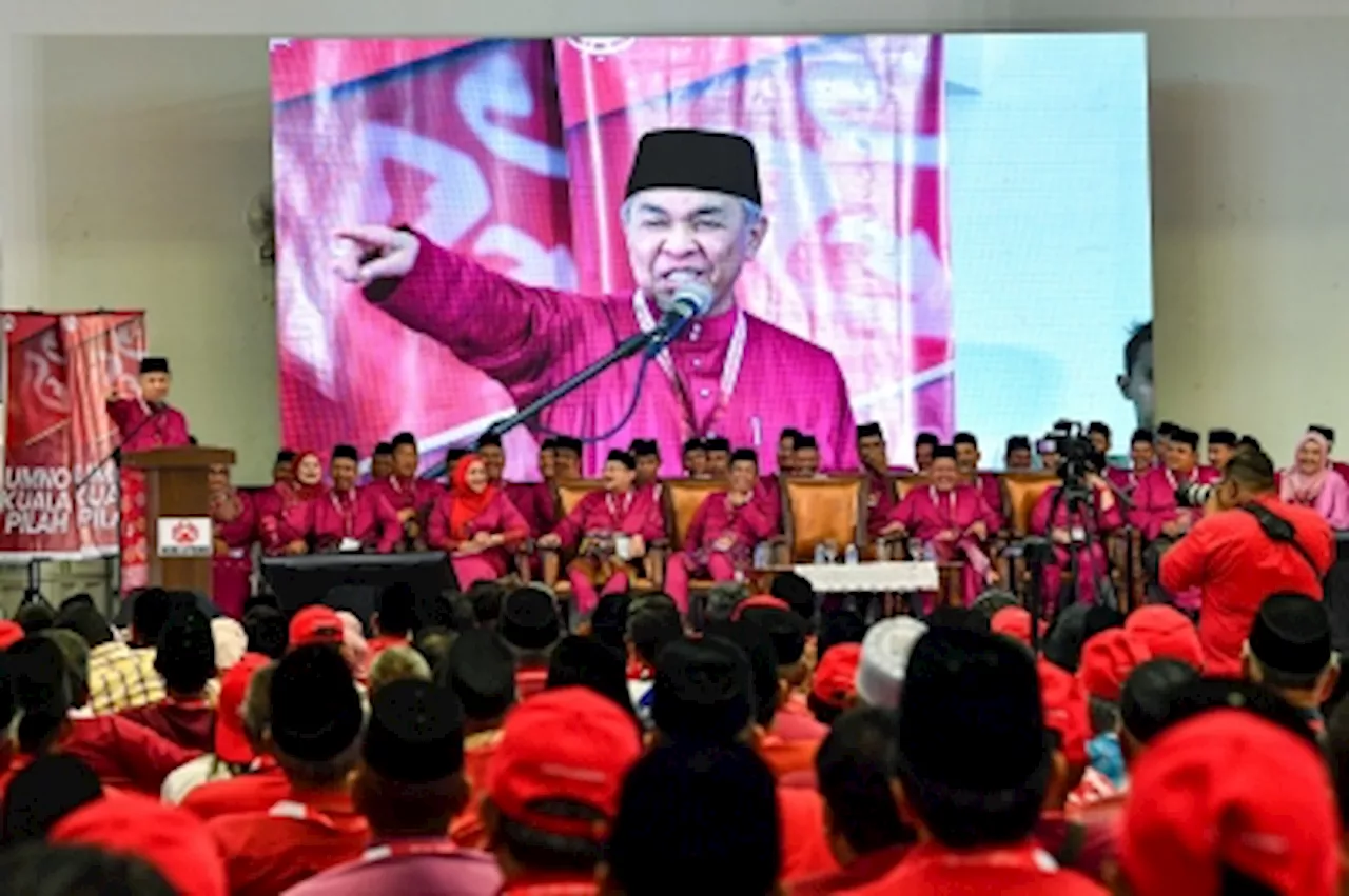 By-elections training ground to test unity govt’s party compatibility, says Zahid