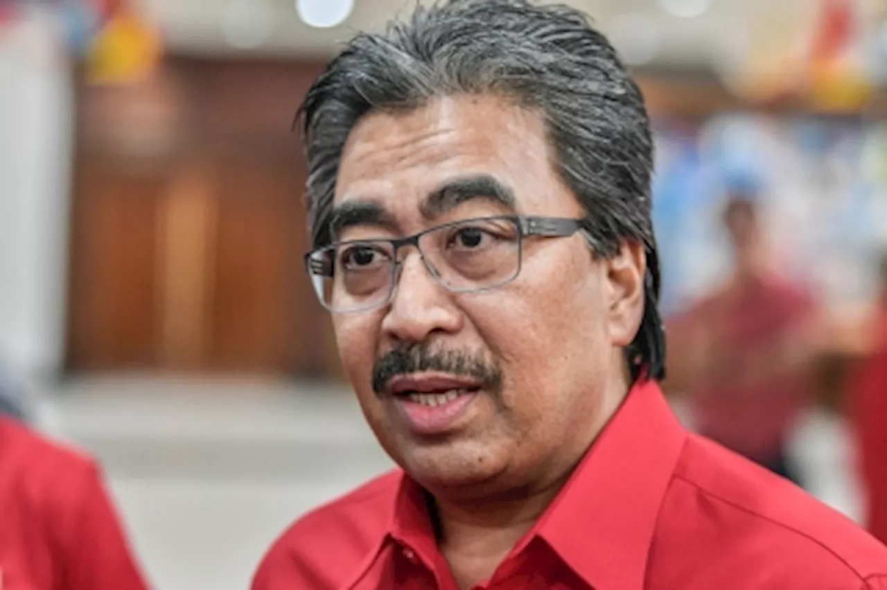 Umno needs to identify potential candidates early for next general election, says veep