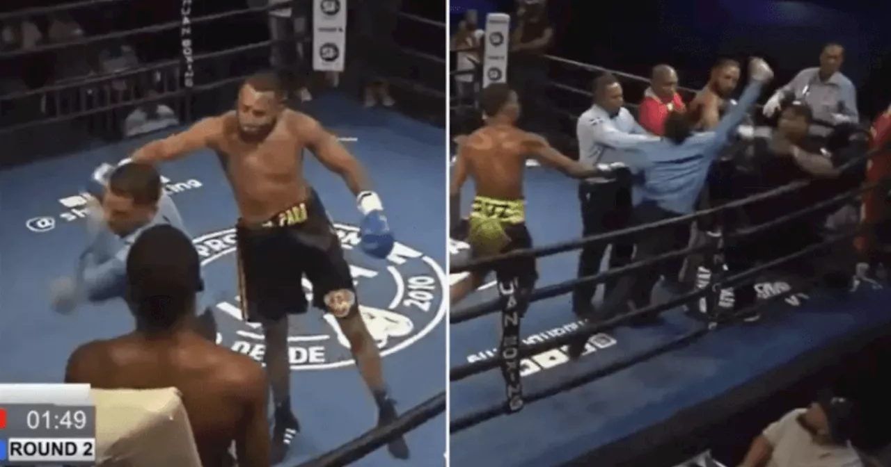 Referee stuns crowd by attacking boxer who punched him during fight