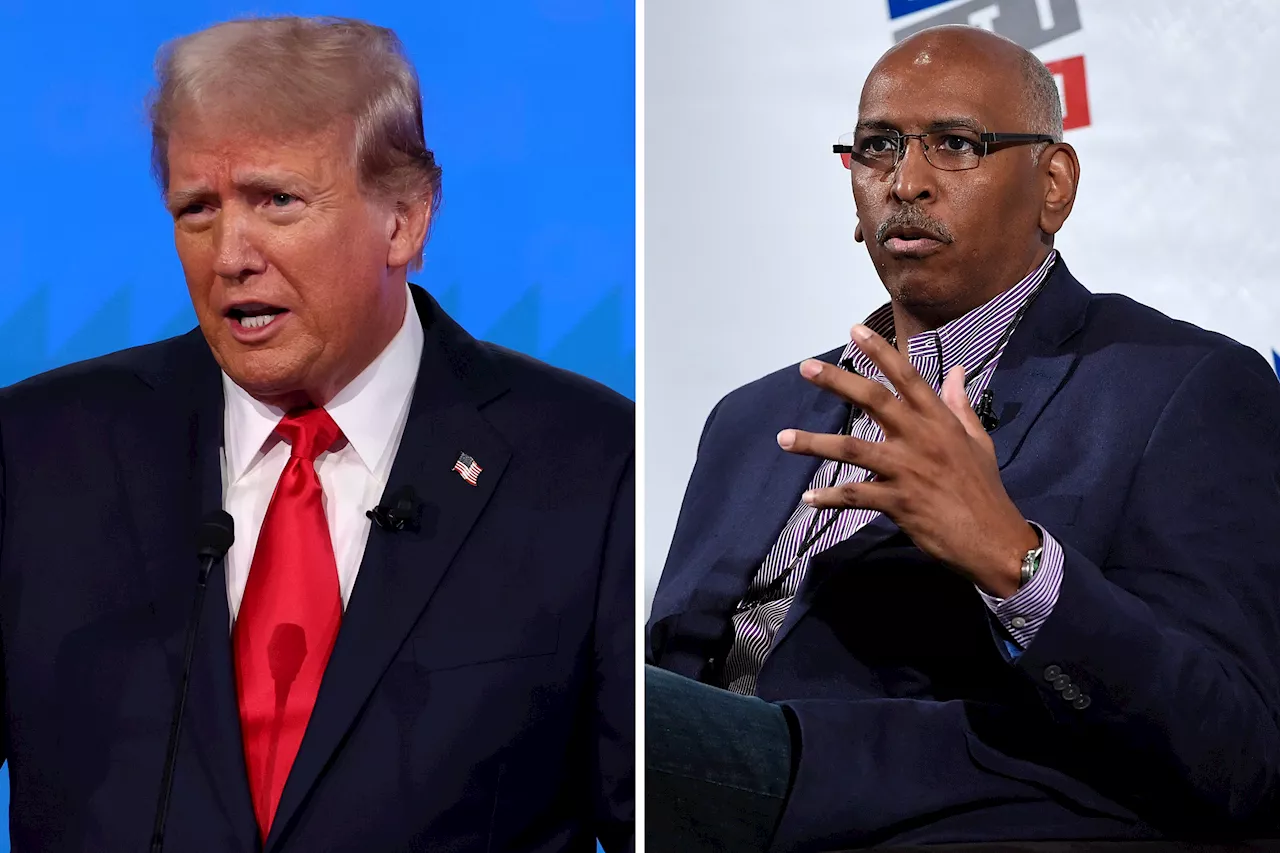 Donald Trump Rebuked by Ex-RNC Chair Over 'Black Jobs' Remarks