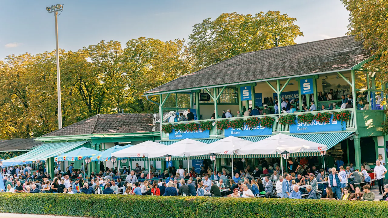 „Traben hautnah“ in Baden startet in die Saison