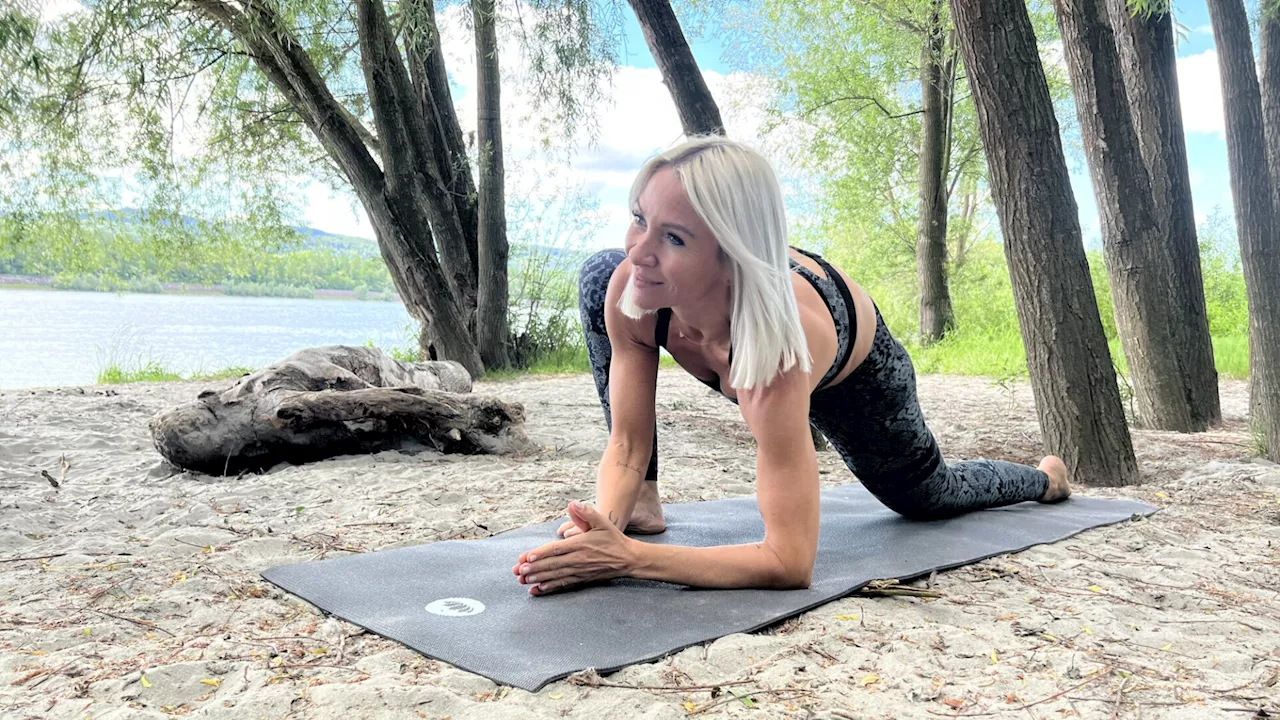 Yoga in Wieselburg: Neue Videos und neuer Sommerkurs