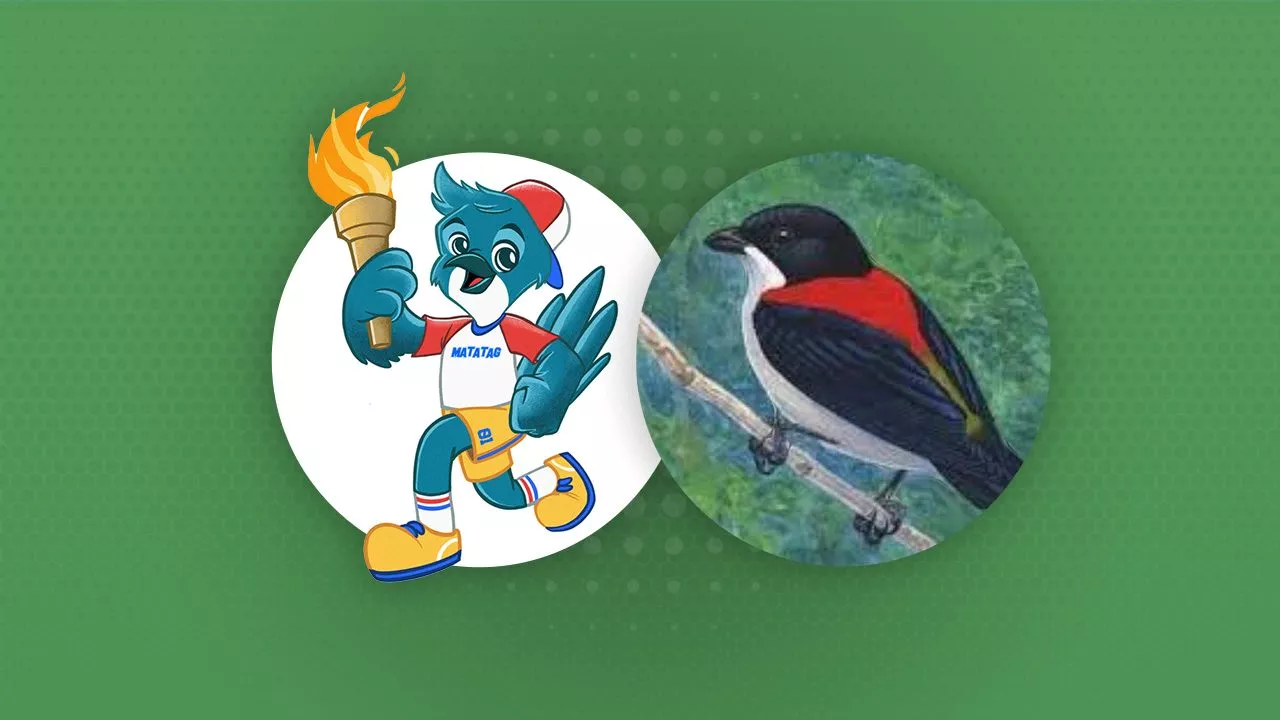 Who’s Matatag? Meet the Palarong Pambansa 2024 mascot