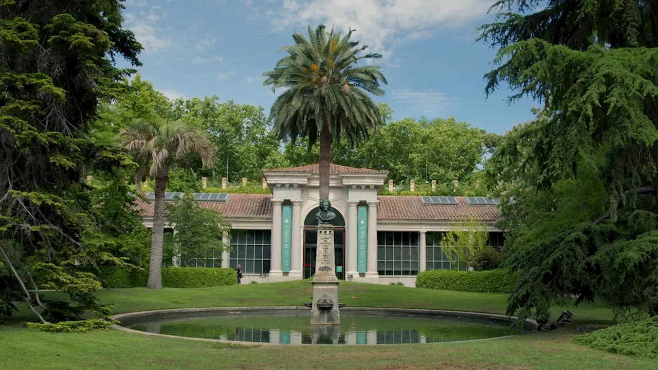 Jardines Con Historia: El Real Jardín Botánico y las expediciones ...