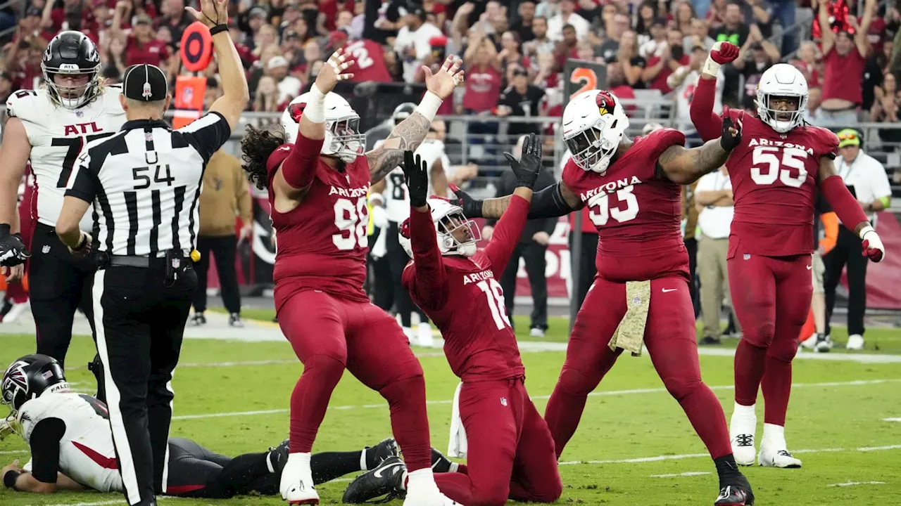 Arizona Cardinals Pass-Rusher Named Surprise Player to Watch