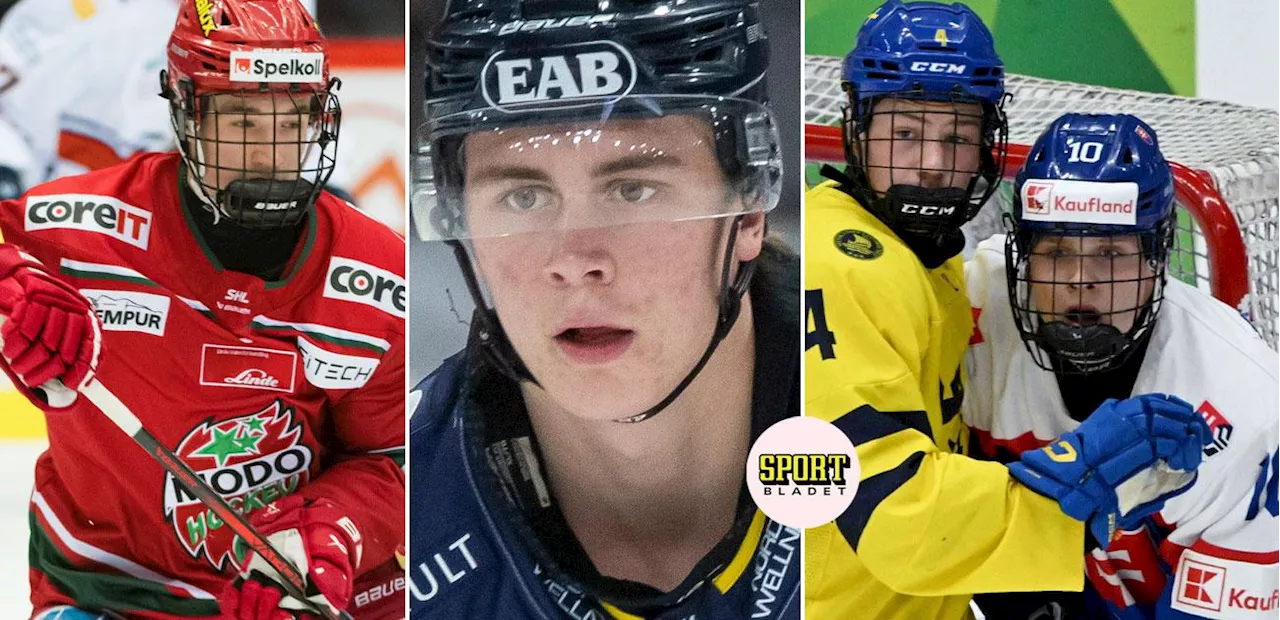 Här är de 22 svenskarna som valdes i NHL-draften