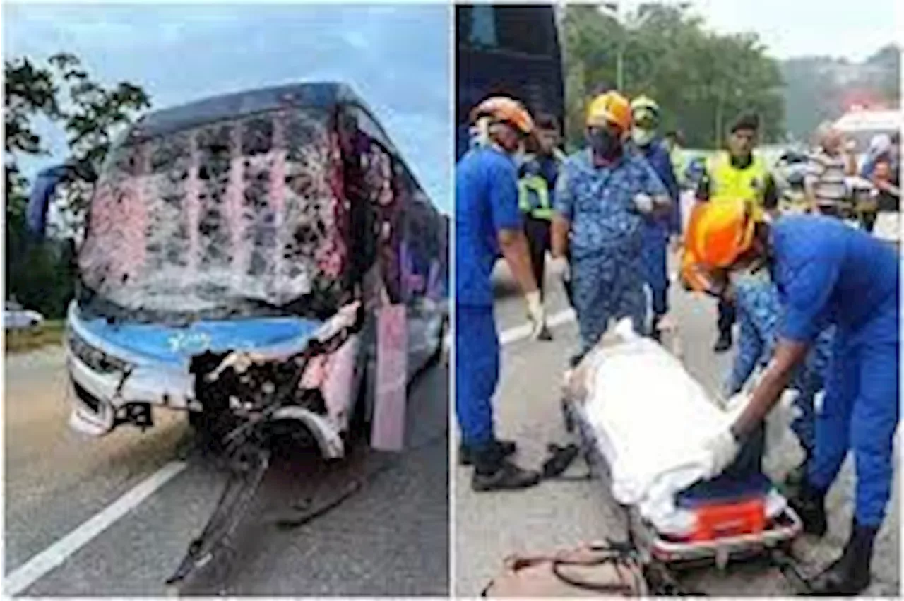 Accident: 'Everything in the bus was a mess': Two Singaporeans recount ...