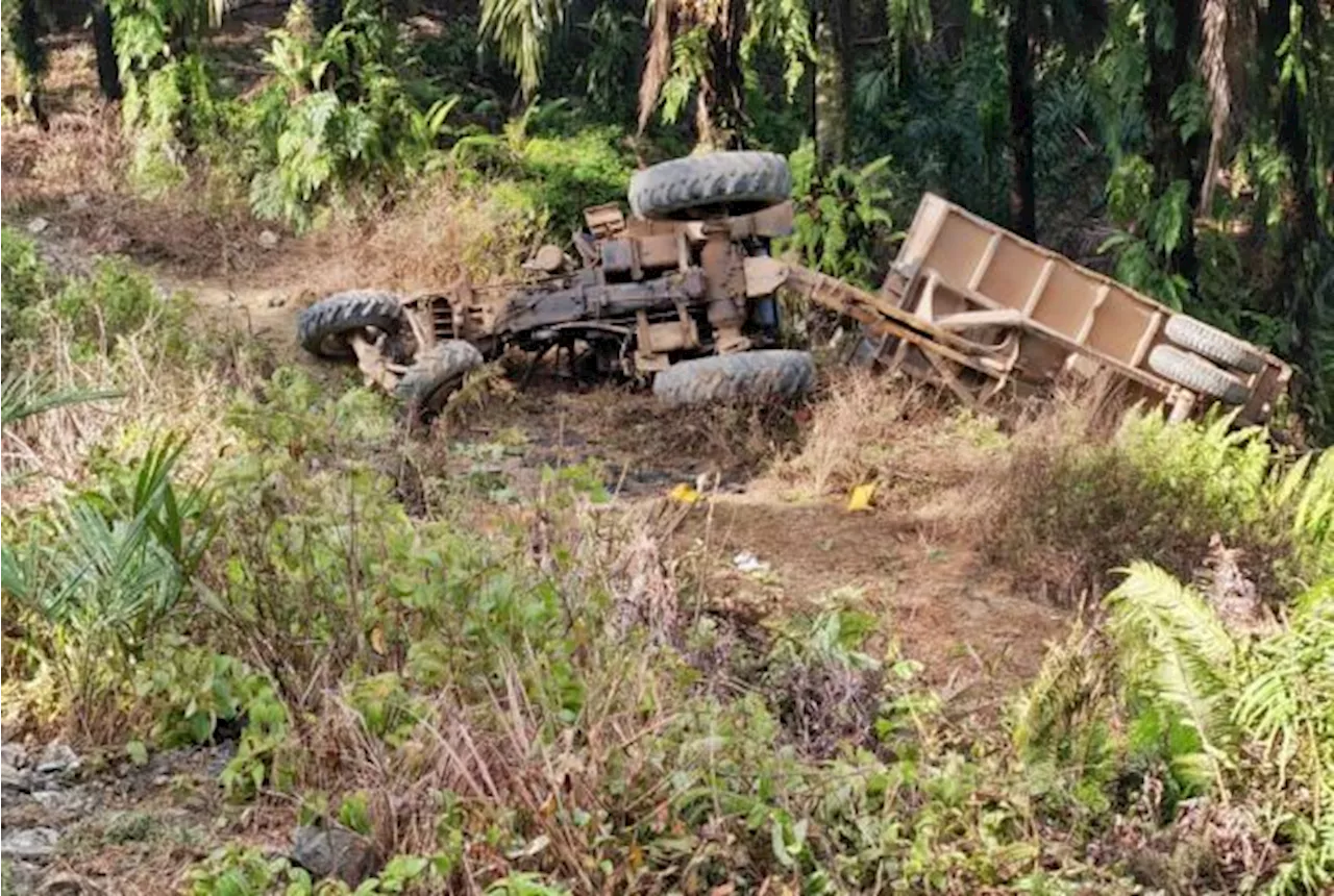 Three foreign plantation workers killed in farm tractor accident in Sabah