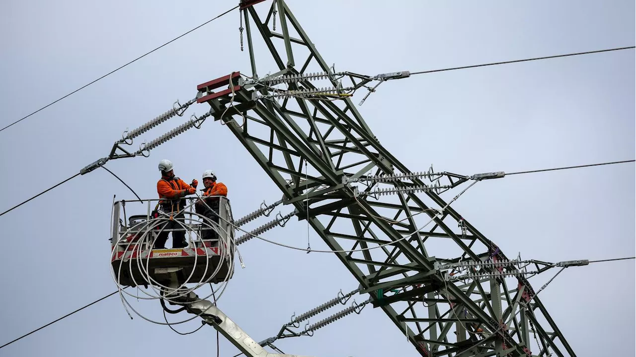 Mehrkosten von 80 Euro für Verbraucher: Regierung will offenbar Tempo beim Ausbau des Stromnetzes erhöhen