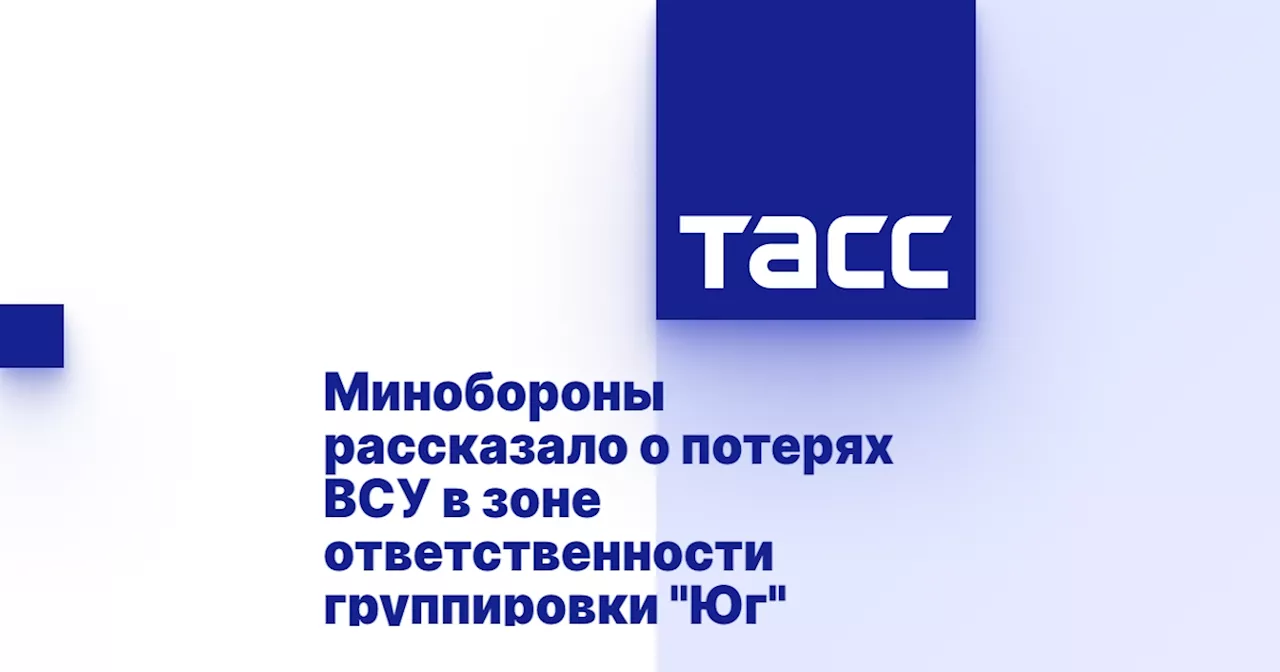 Минобороны рассказало о потерях ВСУ в зоне ответственности группировки 'Юг'