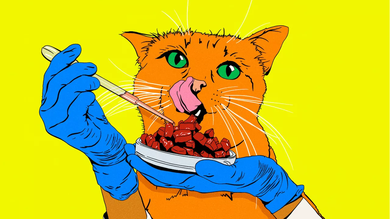 Meatly: Lab-Grown Meat for Your Cat Is Coming to the U.S. This Year