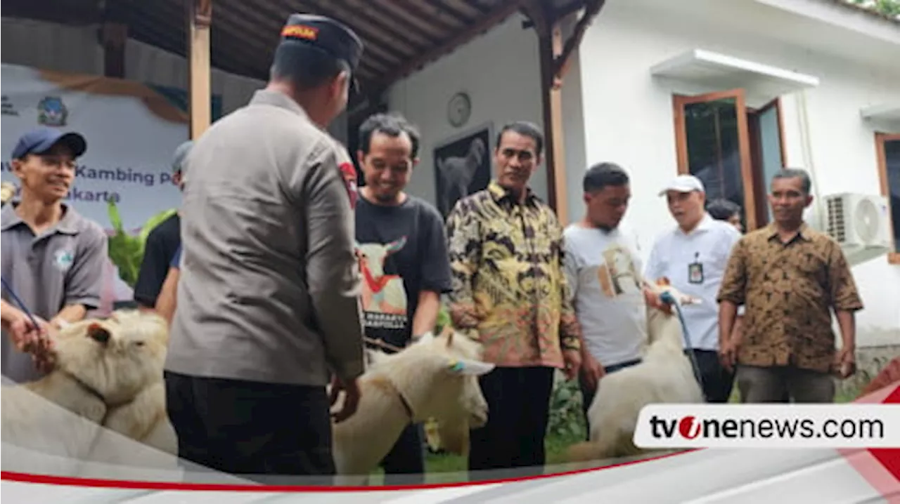 Kambing Perah, Jurus Baru Dukung Persusuan Nasional