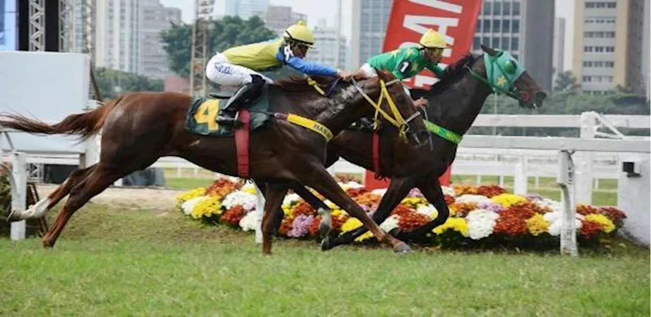 Nunes sanciona lei que proíbe corridas de cavalo em São Paulo