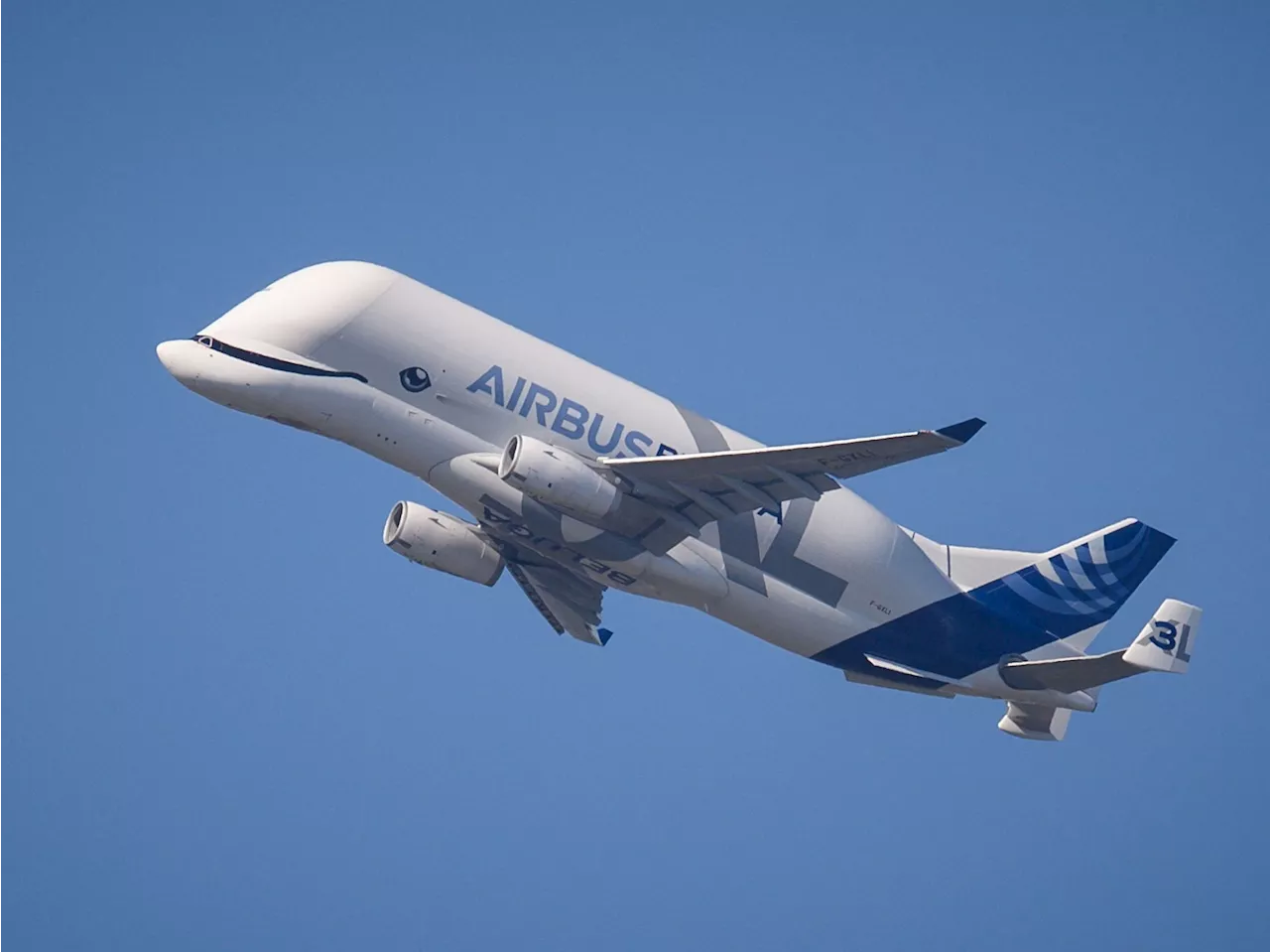 Airbus BelugaXL: Dieser fliegende 'Wal' hat eine eigene Fluglinie