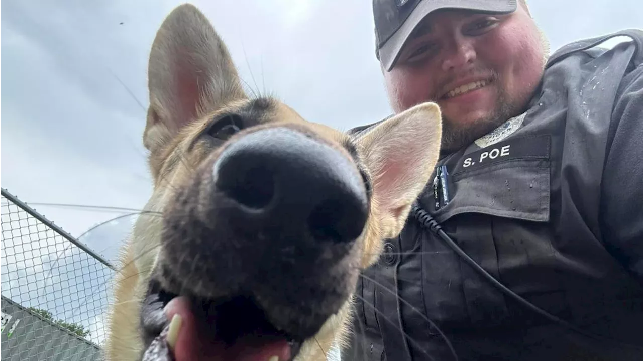 IMPD officer adopts German Shepherd he rescued