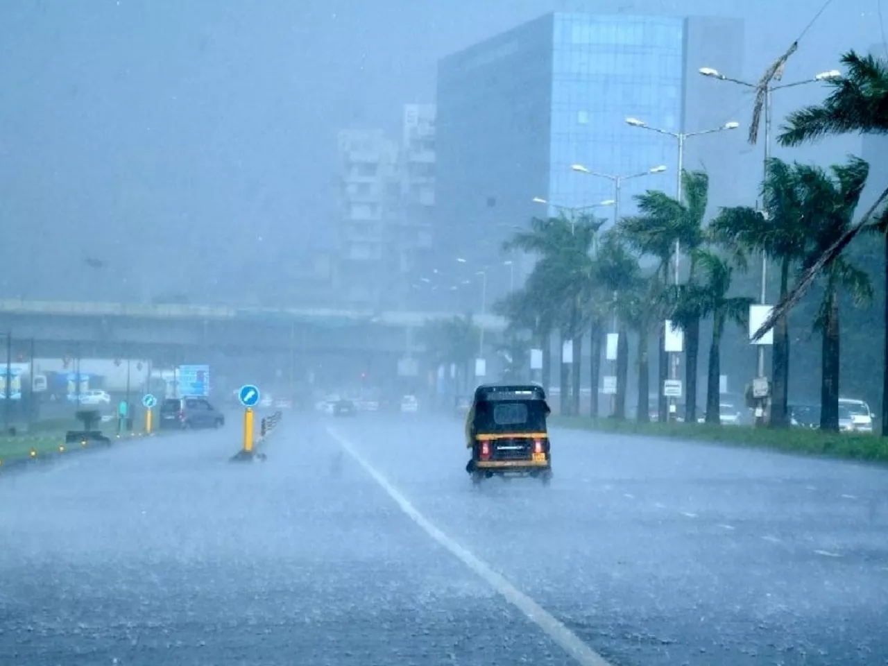 Weather Update: राज्यात 'या' ठिकाणी पुढचे 2-3 दिवस पावसाचा जोर वाढणार, हवामान विभागाने वर्तवला अंदाज