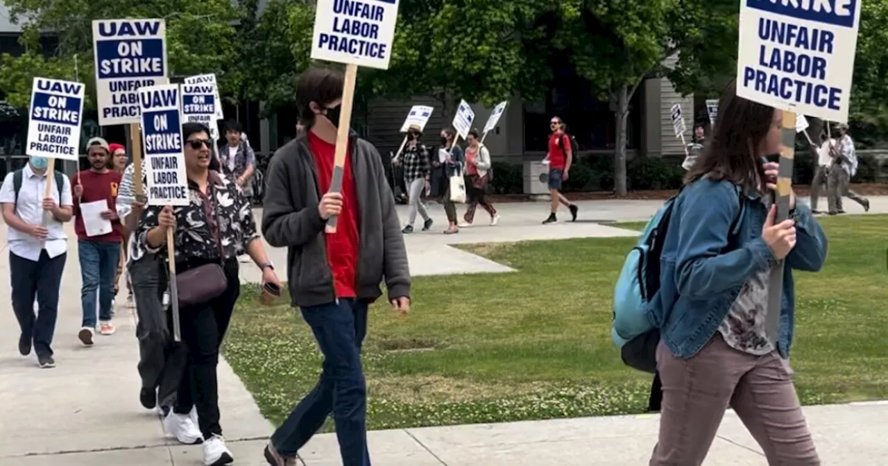 Union workers at UC San Diego join statewide strike over alleged unfair labor practices