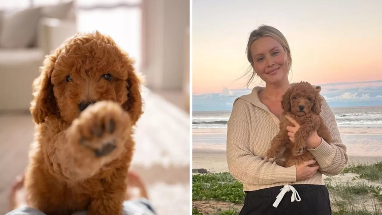 Australian influencer Tahlia Aubusson’s new puppy killed in ‘freak accident’