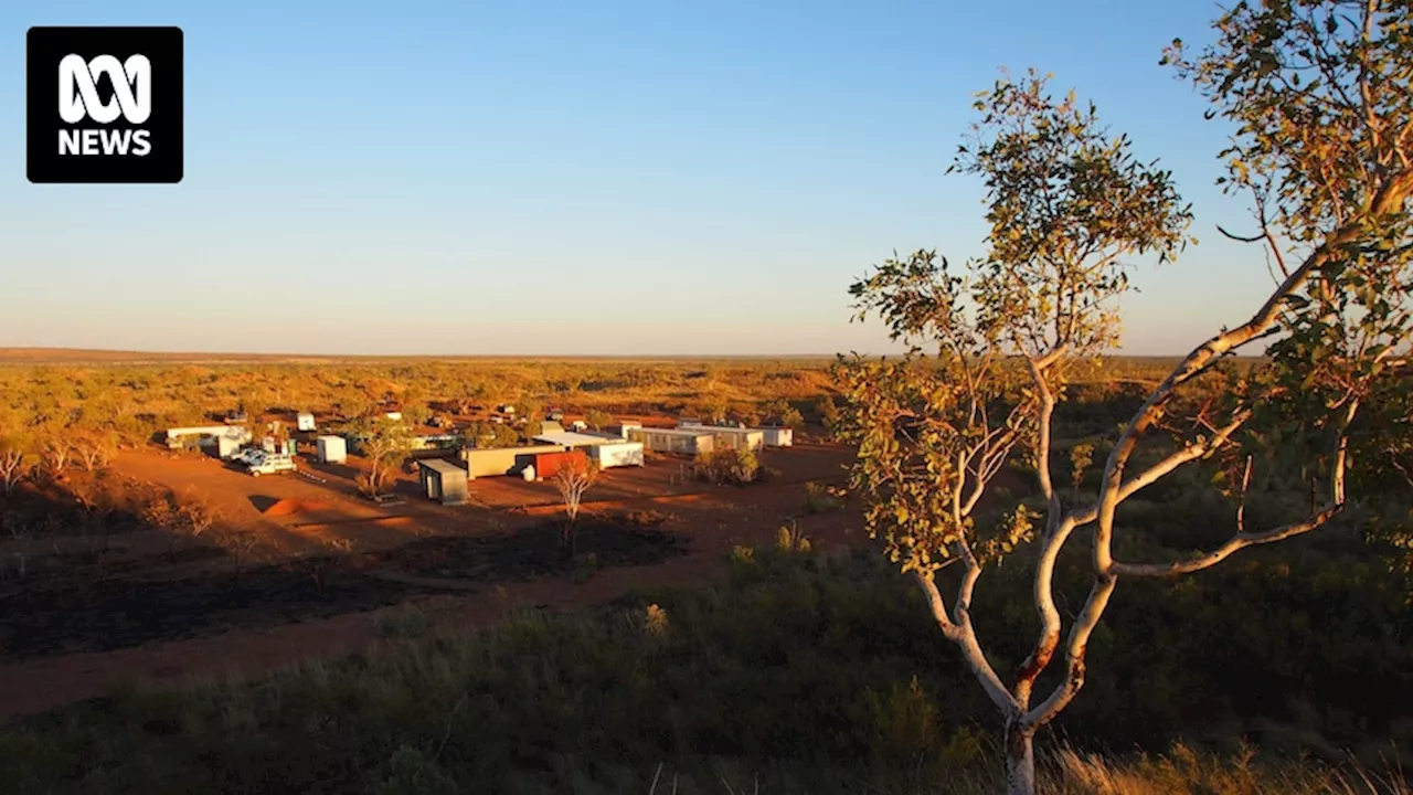 Federal treasurer orders Chinese-linked investors to offload shares in Australian rare earths mine