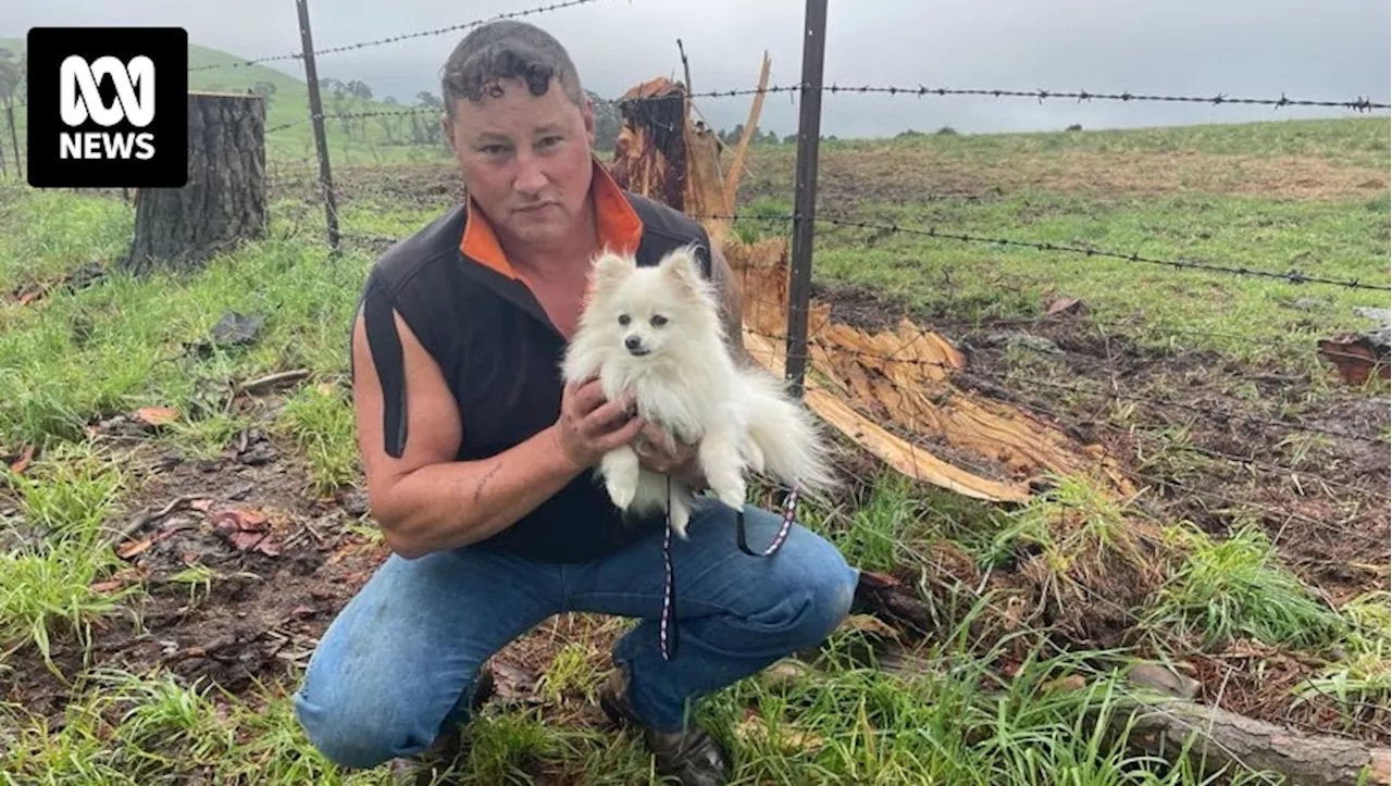 Lithgow tornado victim testifies in fraud case against man who promised to rebuild her home