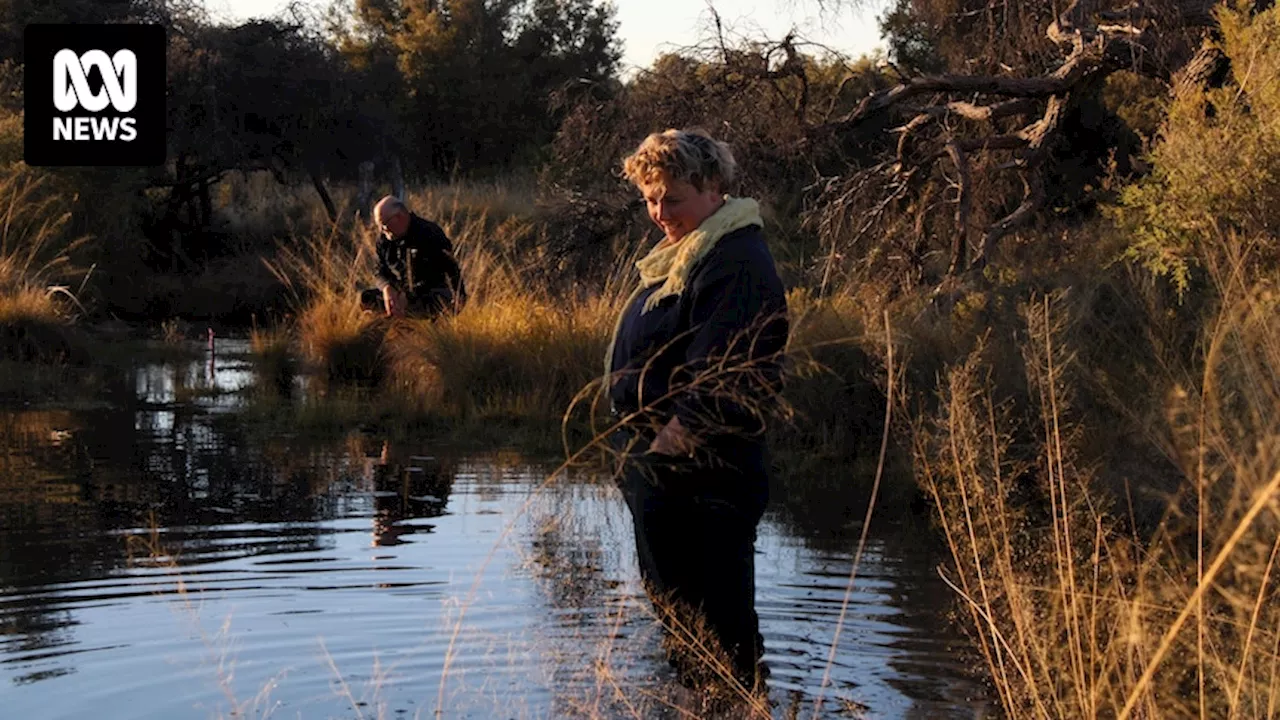 Newly protected Edgbaston Reserve in Queensland home to 37 species found nowhere else in the world