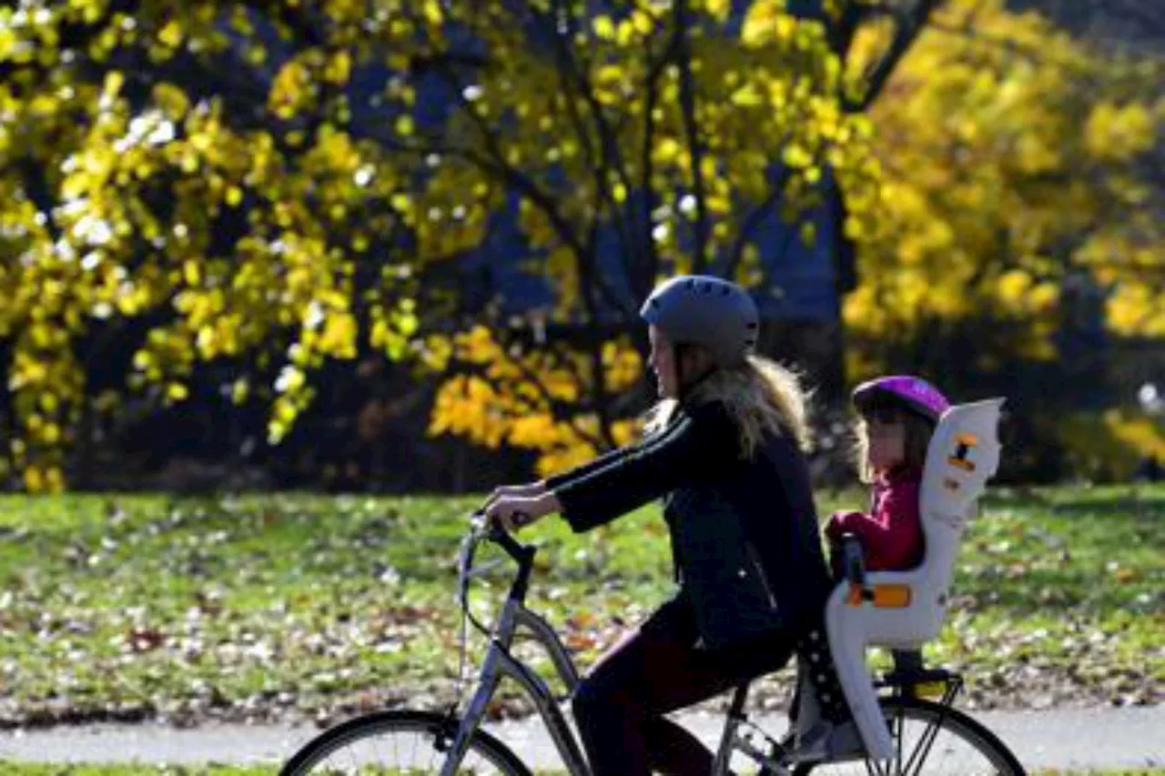 Giornata mondiale bicicletta, 11% italiani la usa per andare a scuola o lavoro