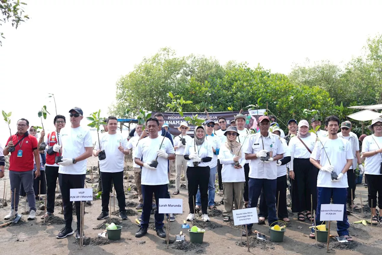 Jaga ekosistem pantai, PLN EPI tanam 1.000 bibit mangrove di Marunda