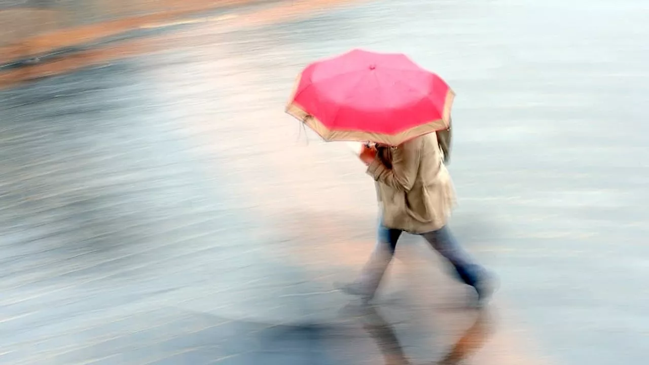 +140% de précipitations à Strasbourg: un mois de mai particulièrement pluvieux en Alsace