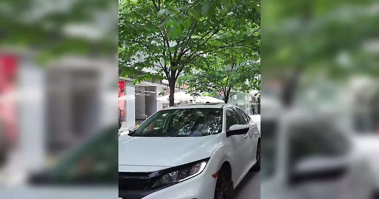 Motorist ridiculed for driving on Toronto sidewalk but some disagree on who to blame