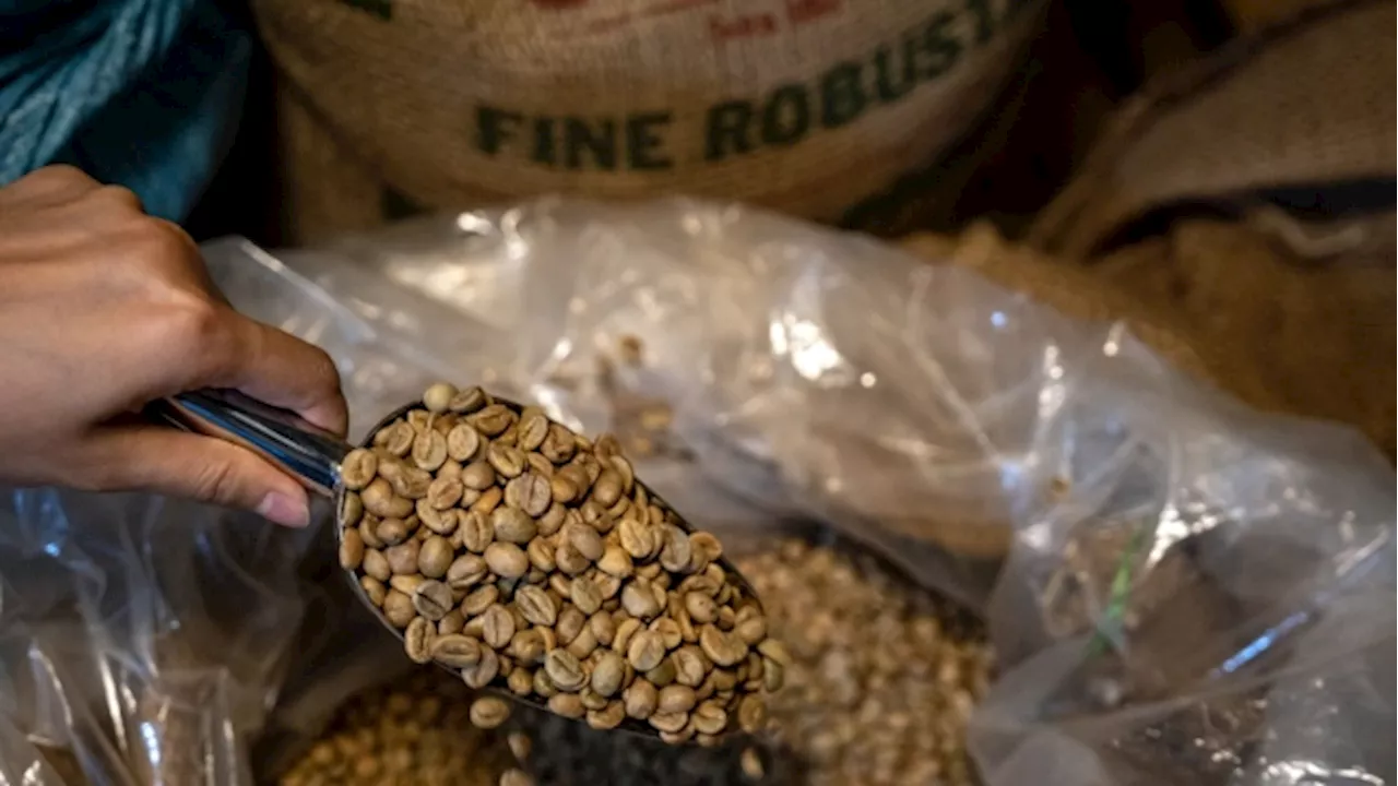 Swiss Trader Sucafina to Buy Mercon Assets in Top Robusta Producer Vietnam